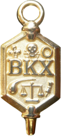 Beta Kappa Chi Pin